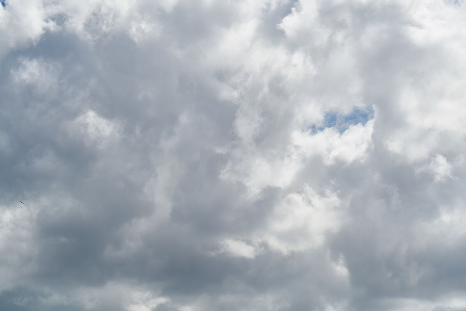 Sony a7R II sample photo. Cloud, sky, air photography