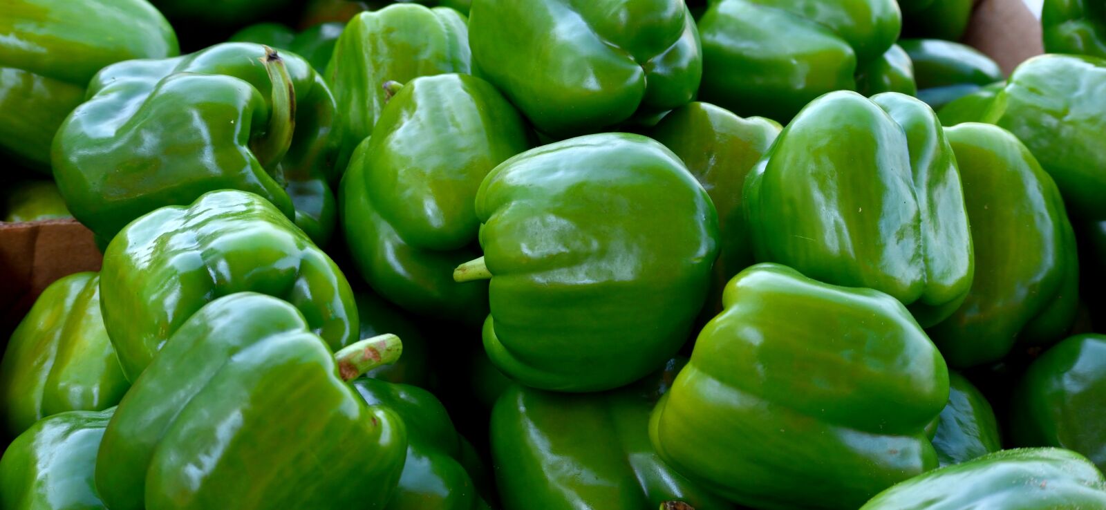Nikon D3300 sample photo. Green peppers, vegetable, food photography