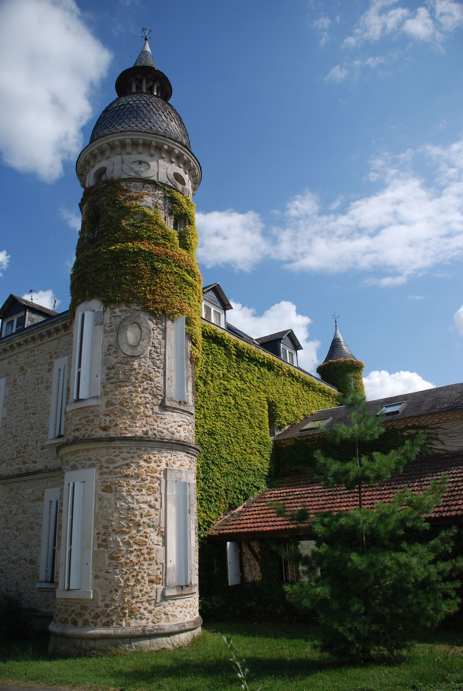 Nikon D80 sample photo. Chateau, tower, ivy photography