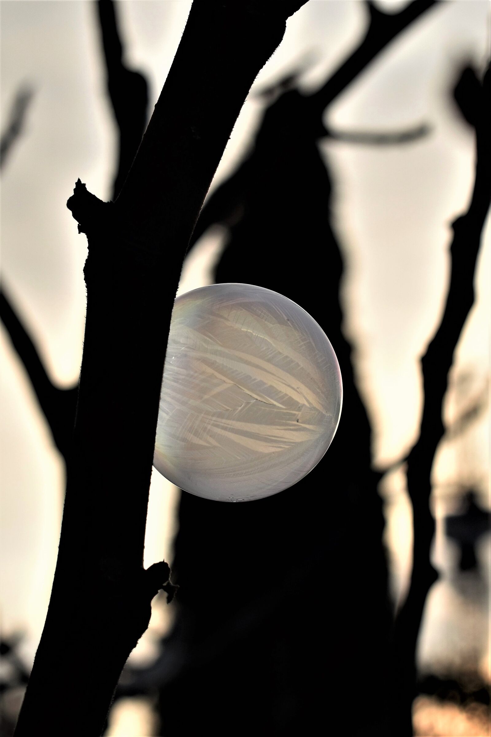 Nikon D5500 sample photo. Soap bubble, frozen, hardest photography