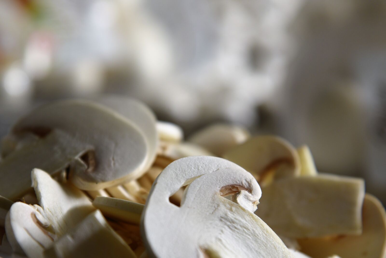 Nikon D750 sample photo. Mushrooms, farming, cultivation photography