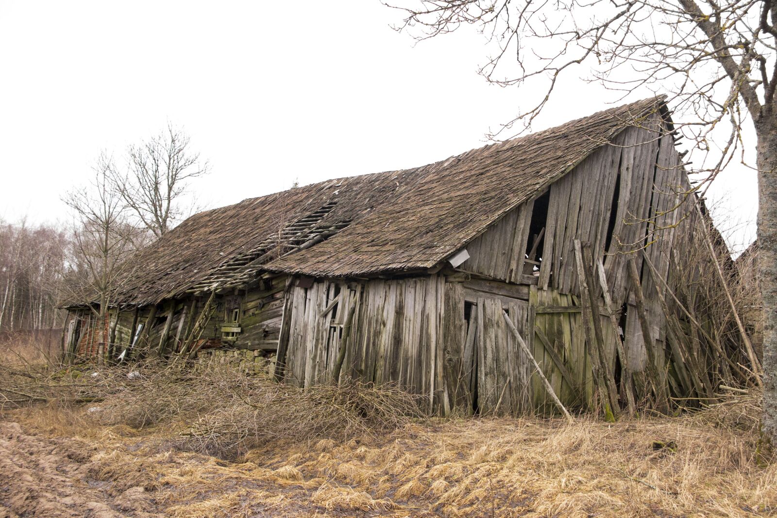 Canon PowerShot G1 X Mark II sample photo. Barn, old, building photography