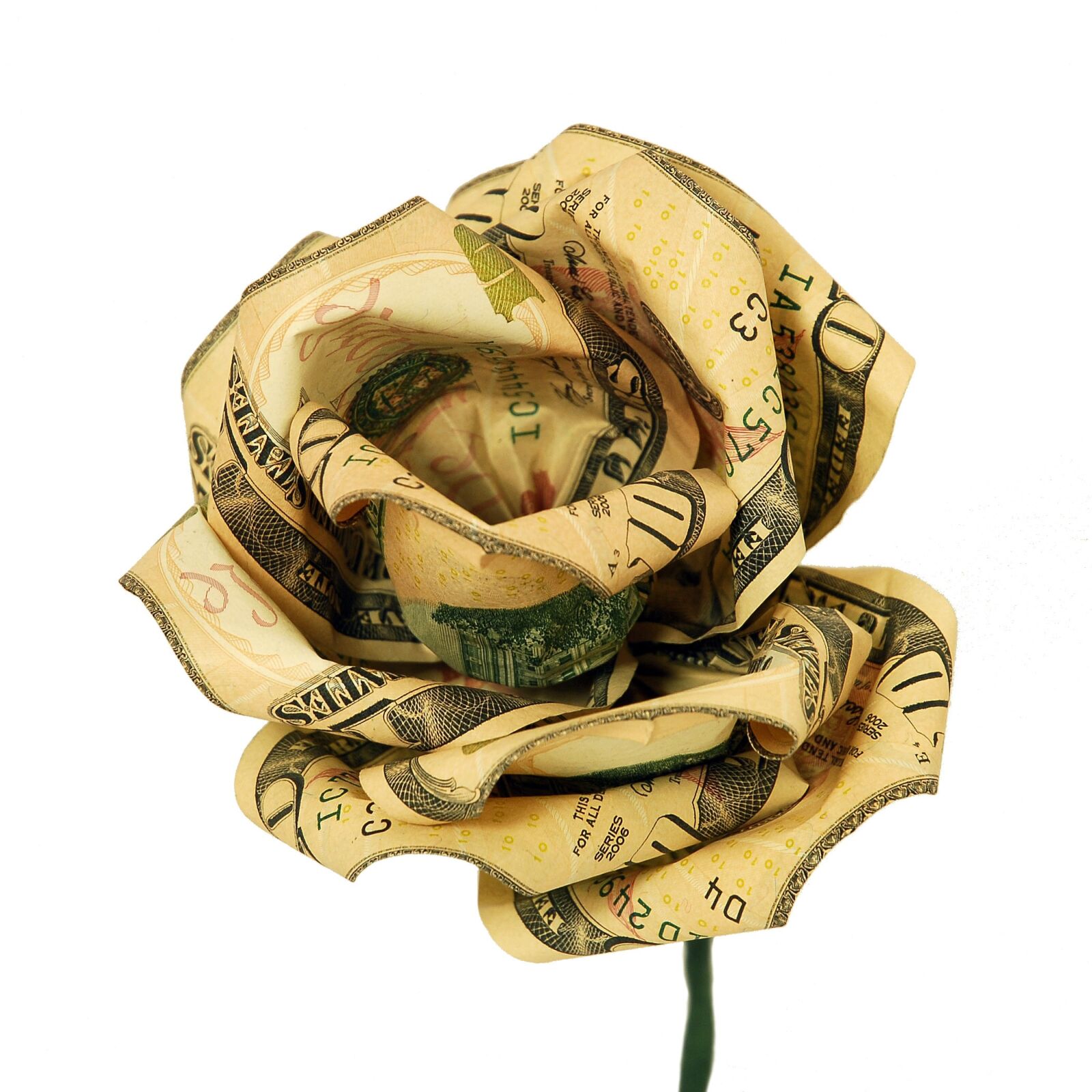 Nikon D200 sample photo. Money, flower, rose photography