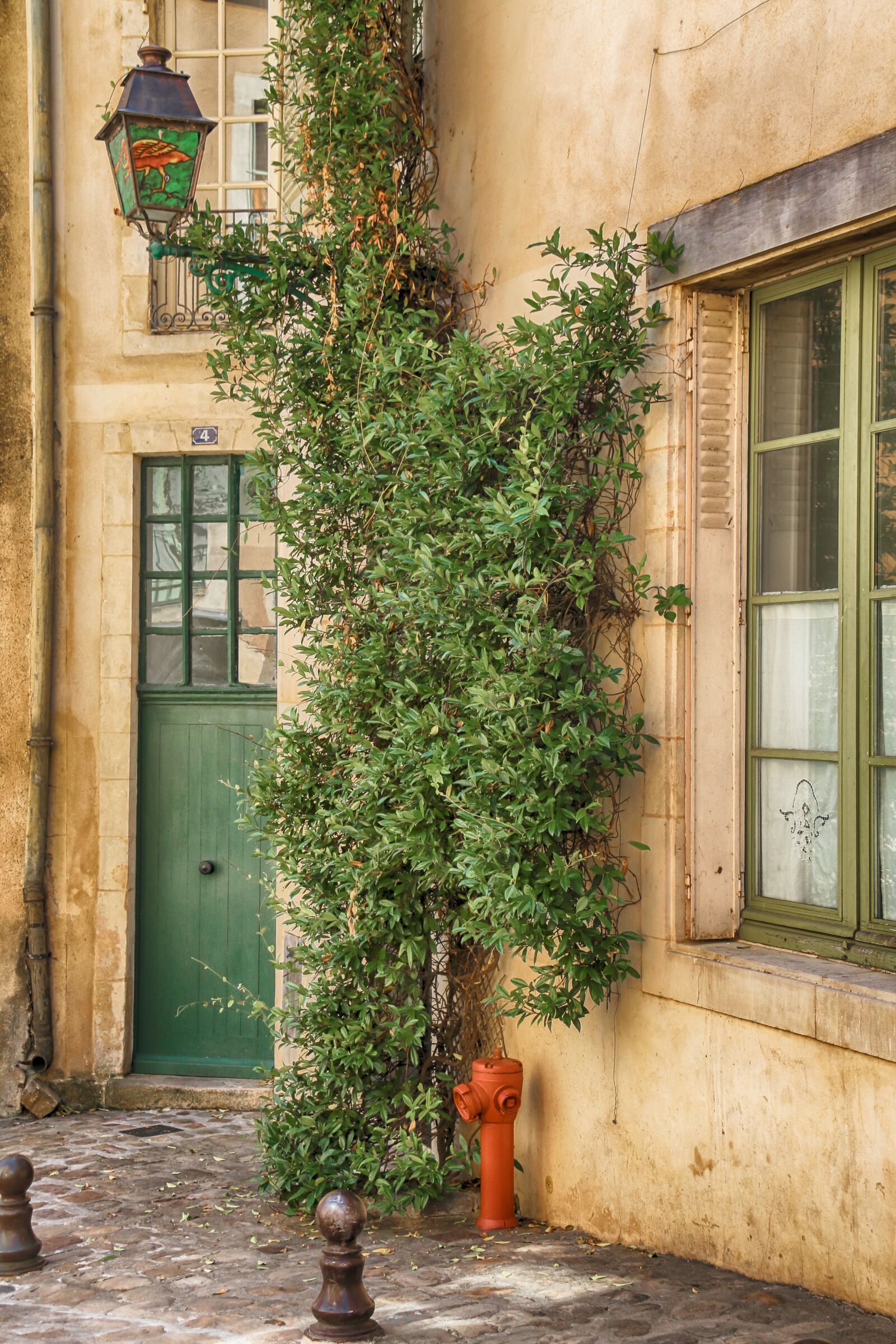 Canon EOS 70D sample photo. Door, green, door-green photography