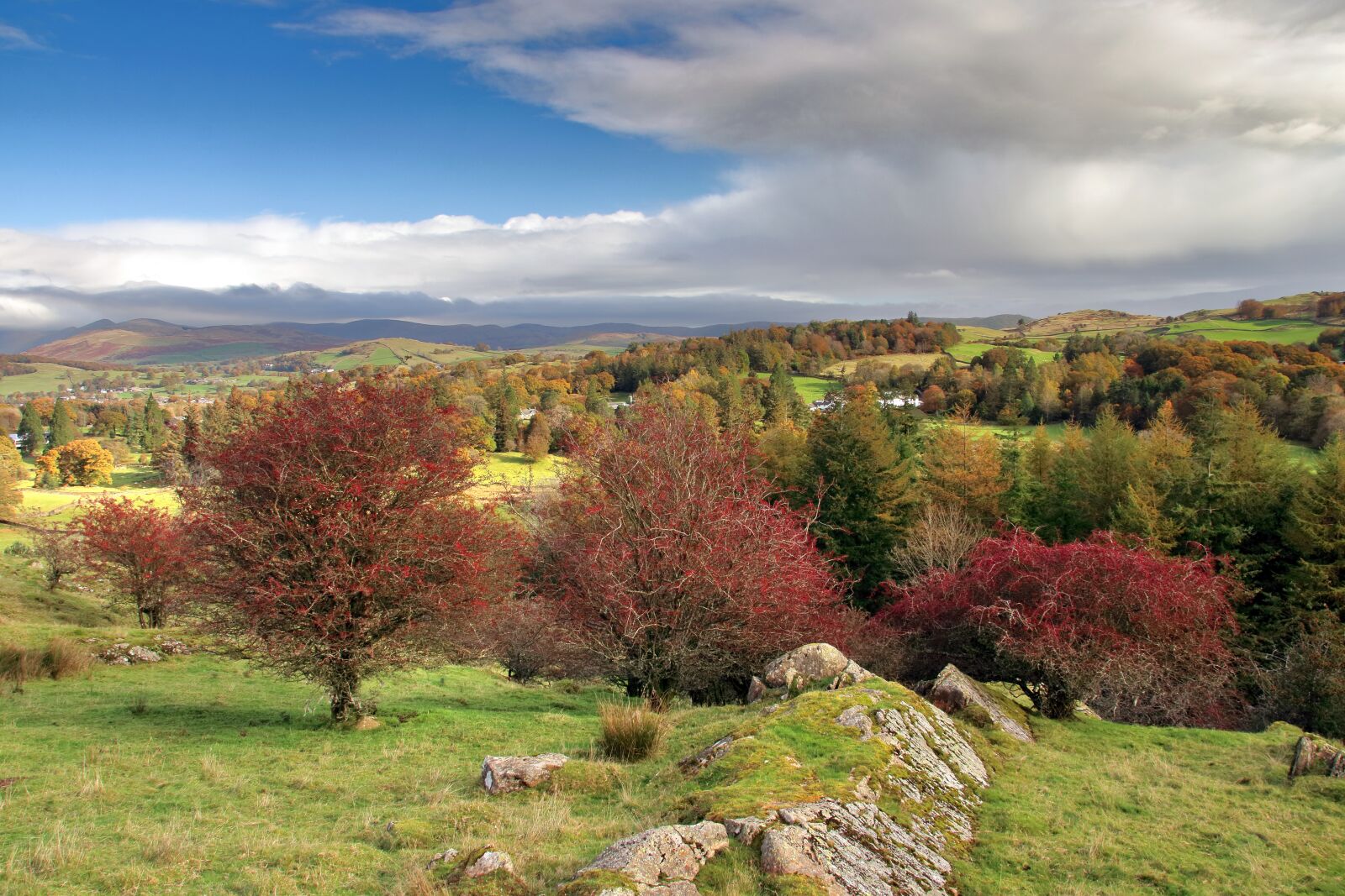 Canon EOS 80D sample photo. Autumn, lake district, colour photography