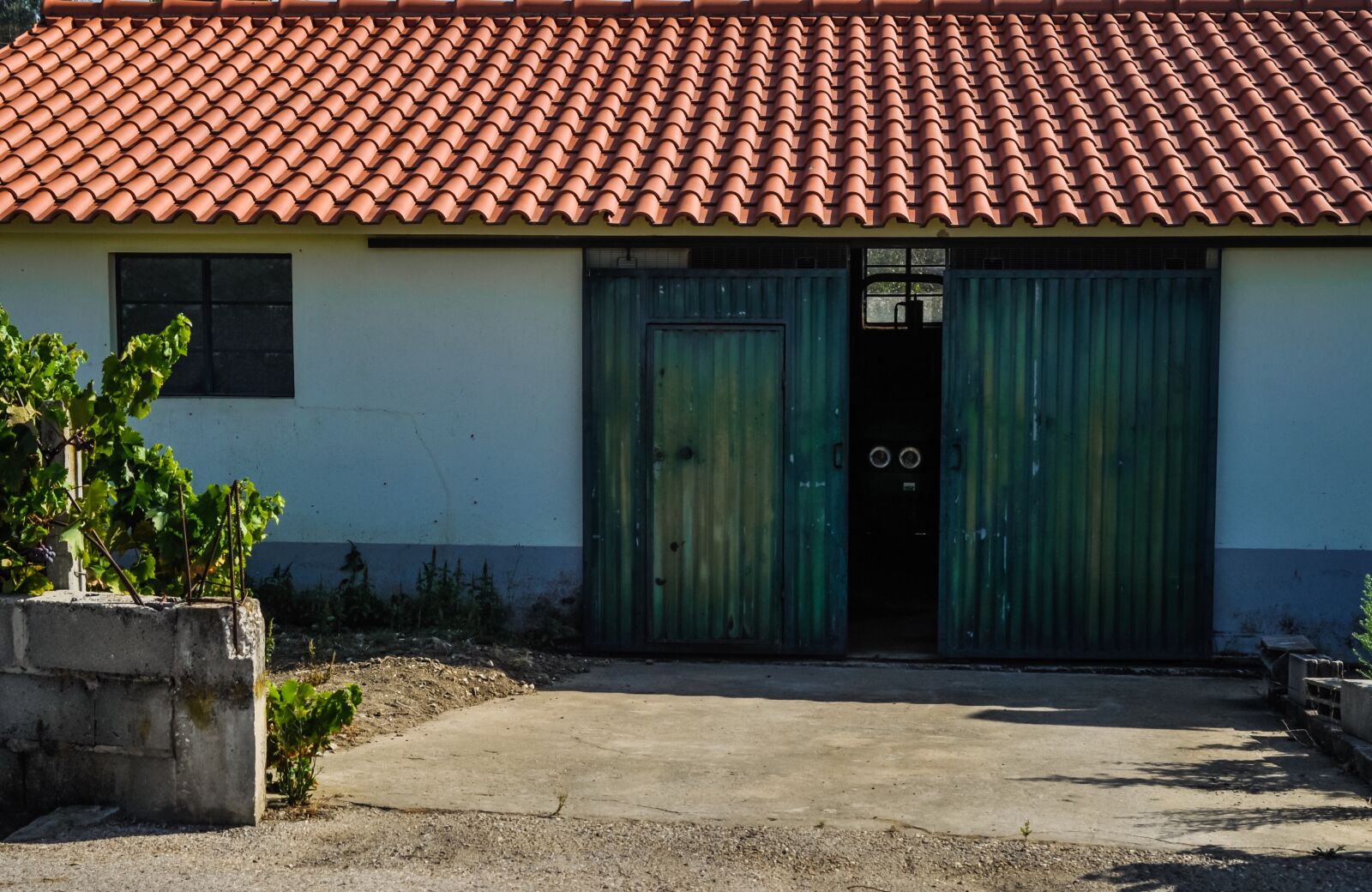 Nikon D90 sample photo. Roof, farm, farming photography