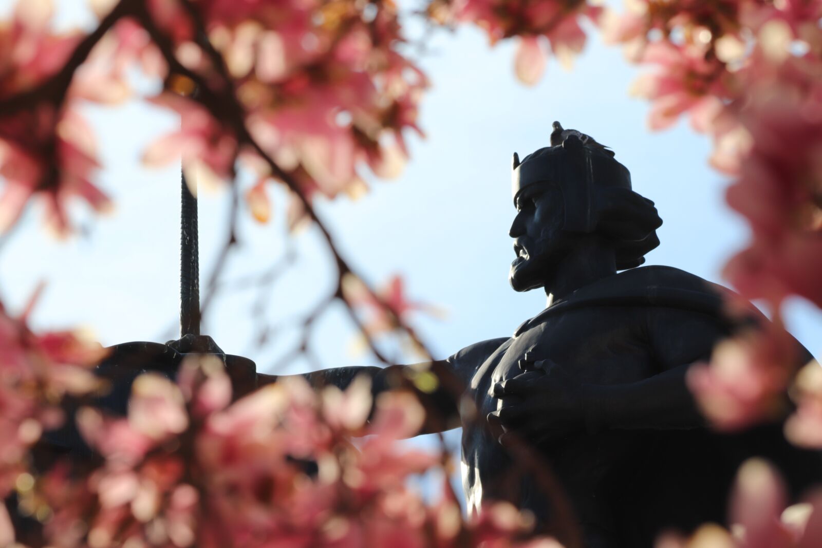 Canon EOS 200D (EOS Rebel SL2 / EOS Kiss X9) sample photo. Monument, king tomislav, statue photography