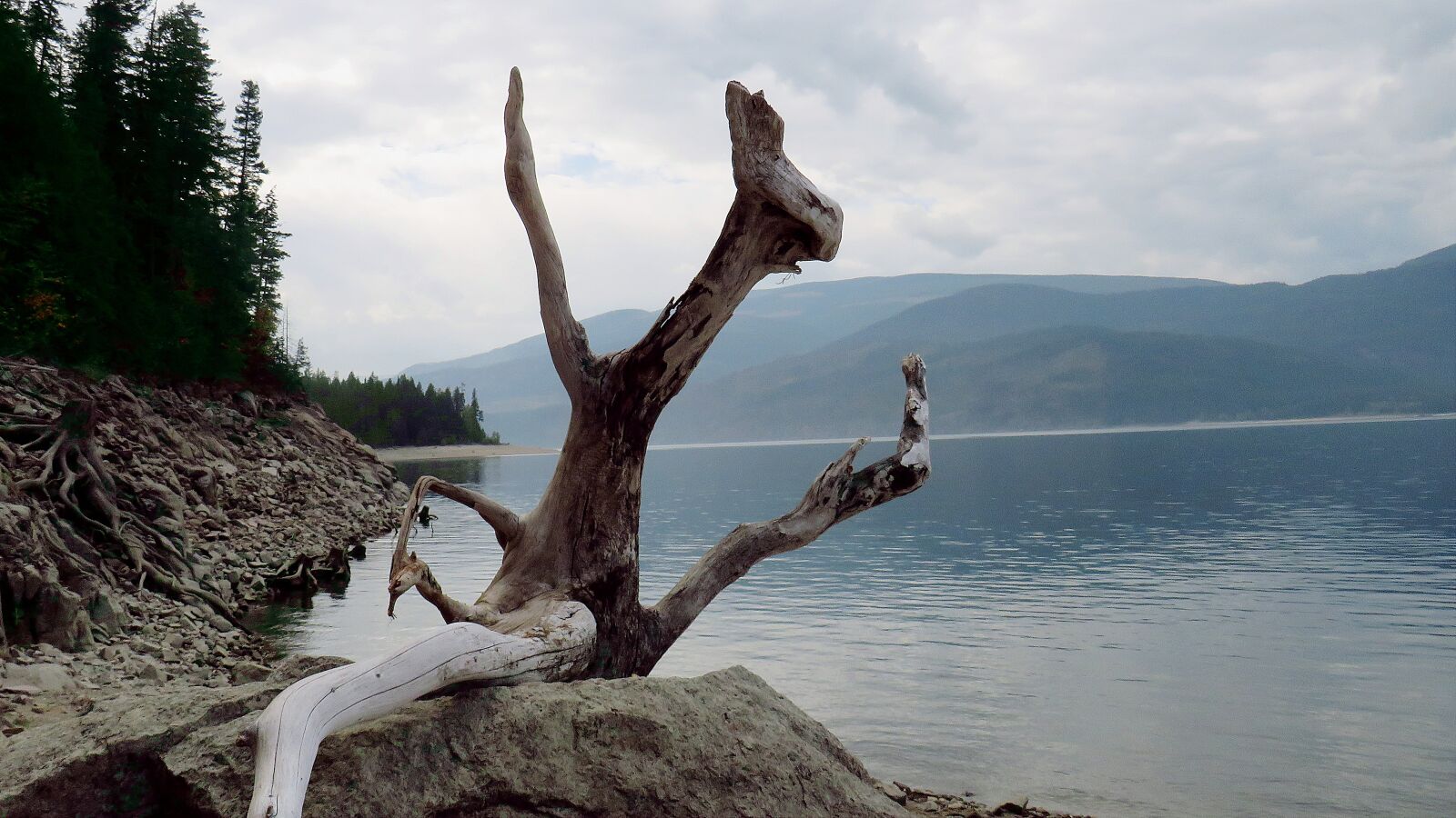 Canon PowerShot SX540 HS + 4.3 - 215.0 mm sample photo. Nature, landscape, sculpture photography
