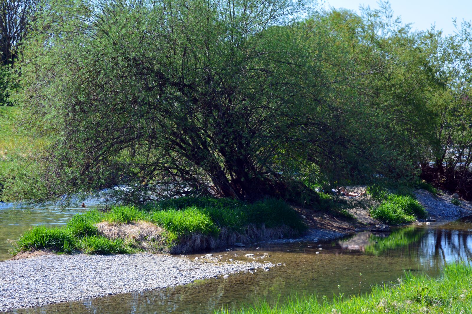 Nikon D5200 sample photo. Island, bach, tree photography