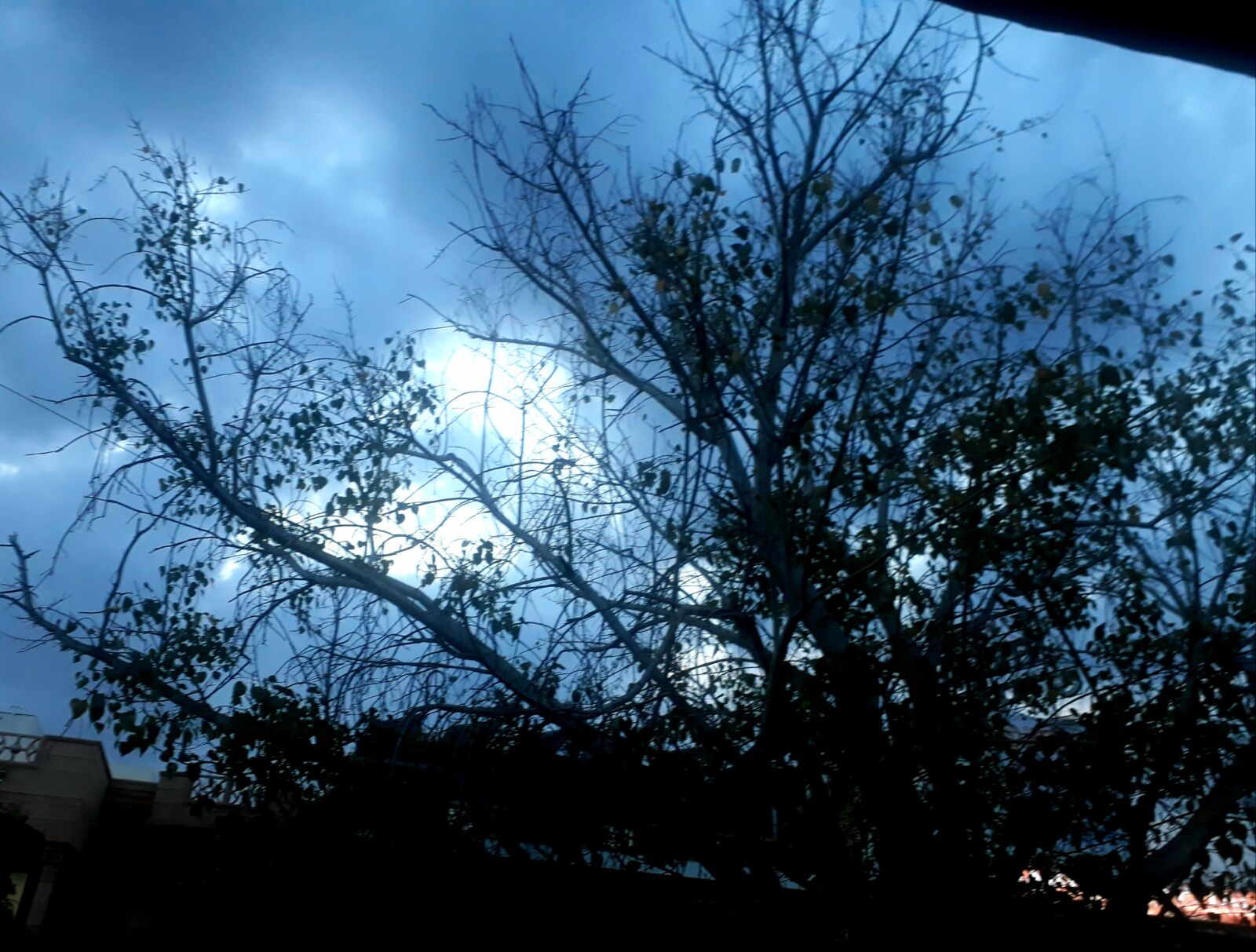 Samsung Galaxy J5 Prime sample photo. Rainy season, dark sky photography