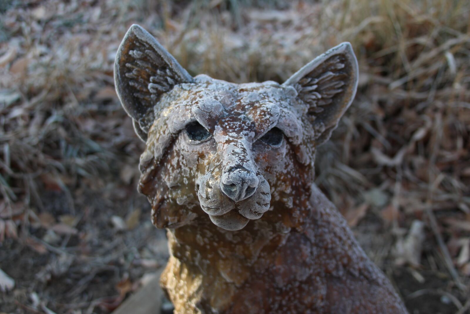 Canon EOS 1300D (EOS Rebel T6 / EOS Kiss X80) sample photo. Bronze, sculpture, frost photography