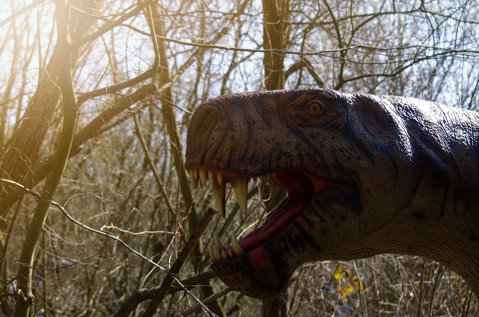 Nikon D5100 sample photo. Dinosaur, dino, tyrannosaurus rex photography