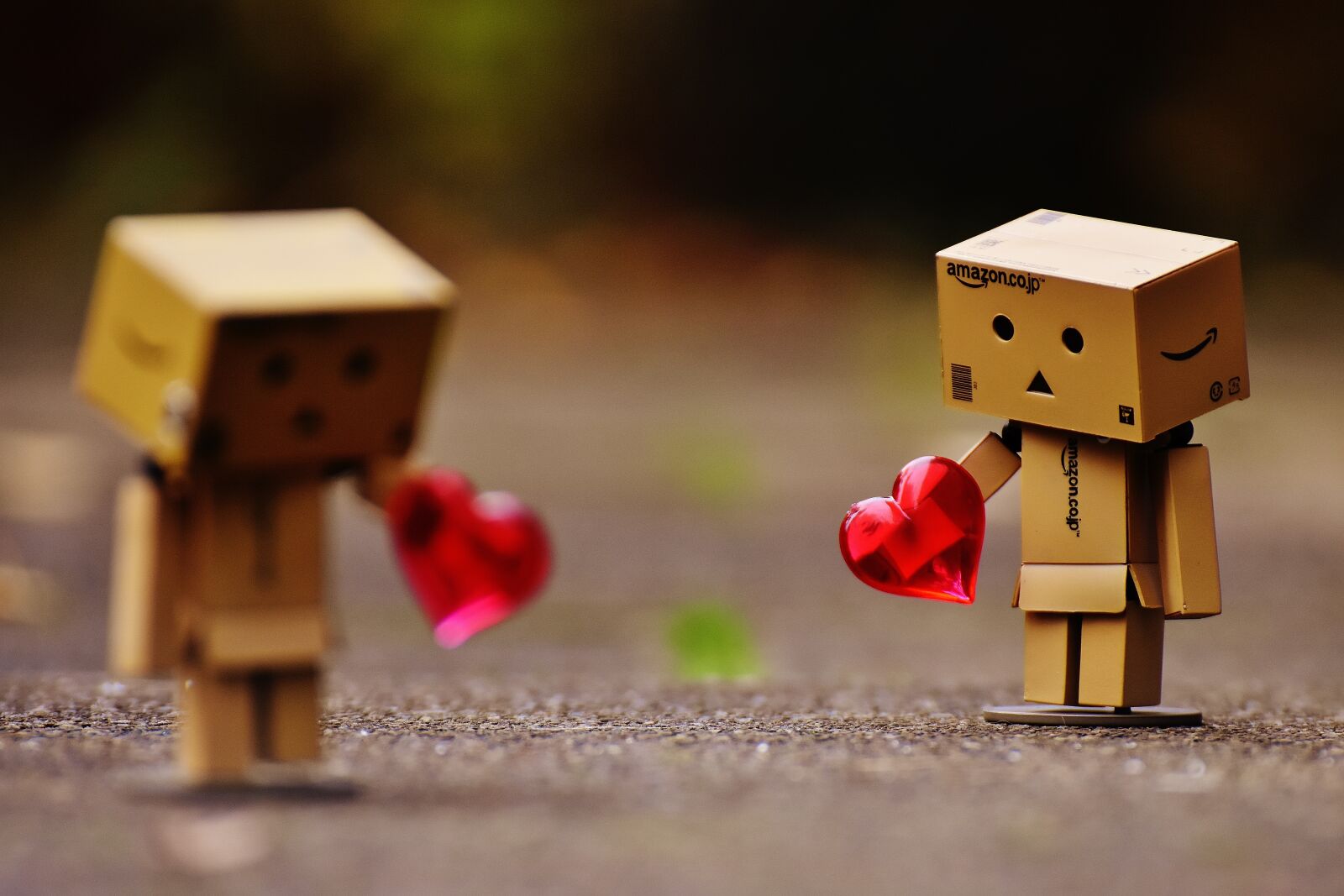 Nikon D7200 sample photo. Danbo, figures, love photography