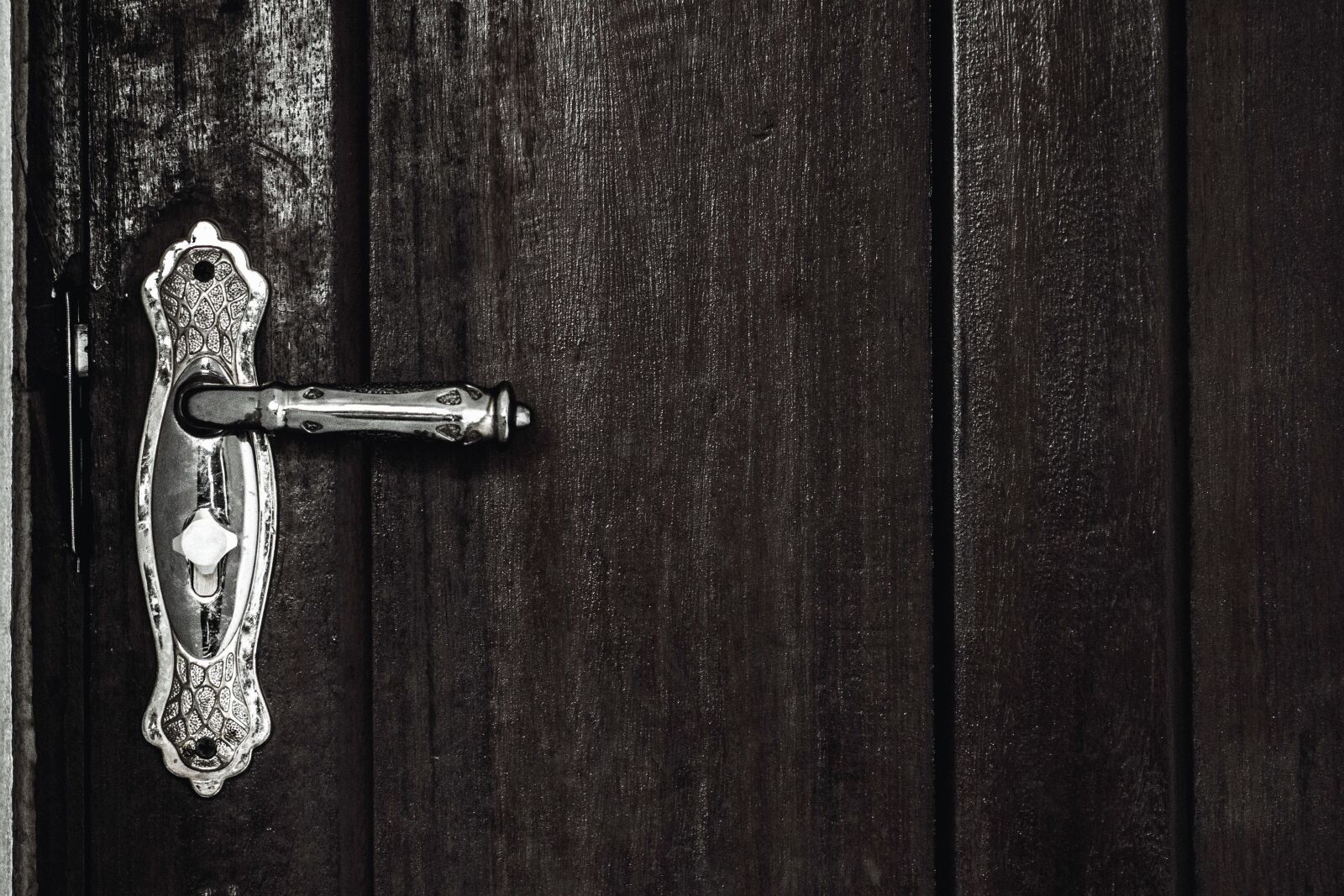 Canon EF 75-300mm f/4-5.6 sample photo. Front door, wood, doorknob photography