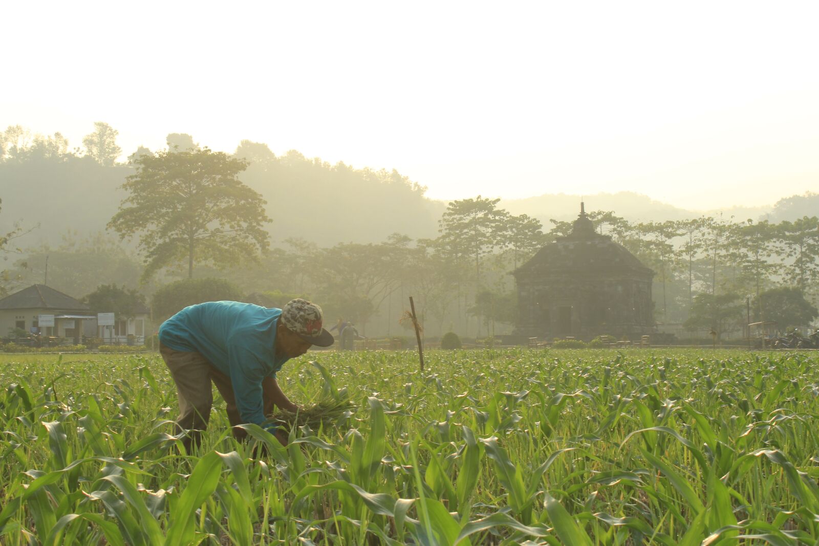 Canon EOS 60D sample photo. Temple, morning, human photography