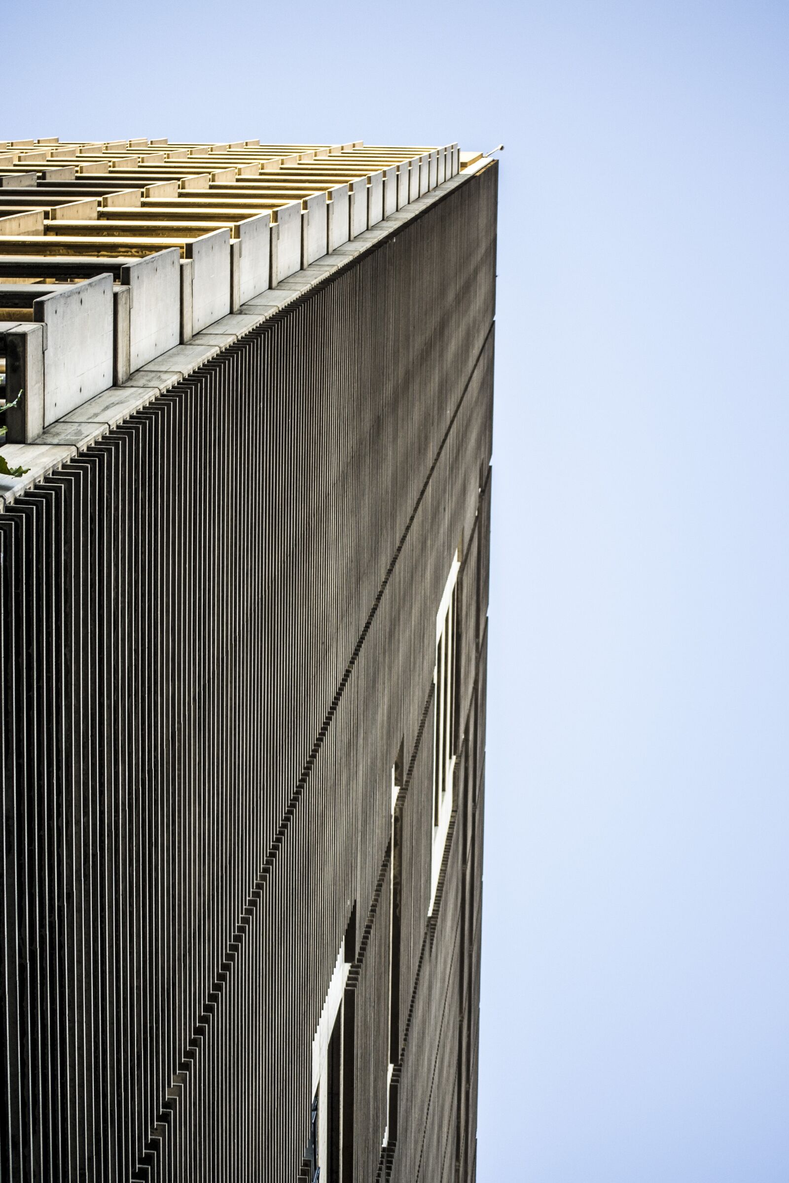 Nikon D3100 sample photo. I skyscraper, caracas, minimal photography