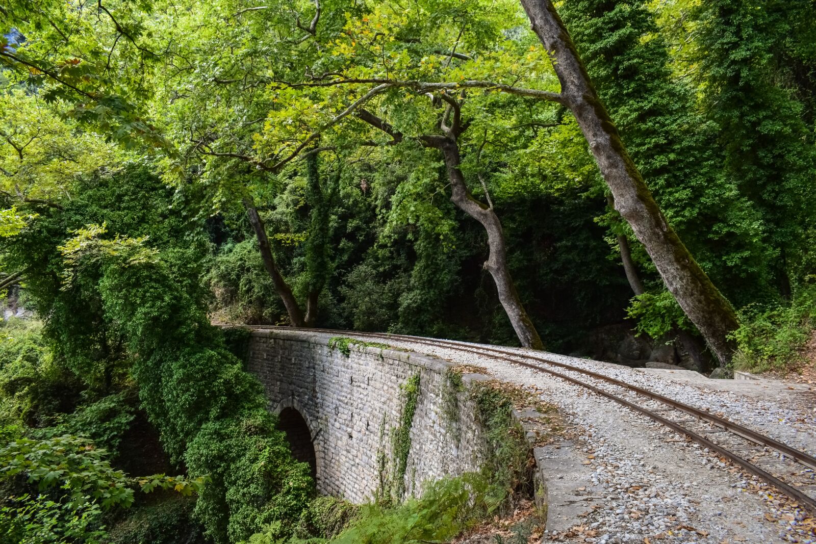 Nikon D3300 sample photo. Rails, bridge, trees photography