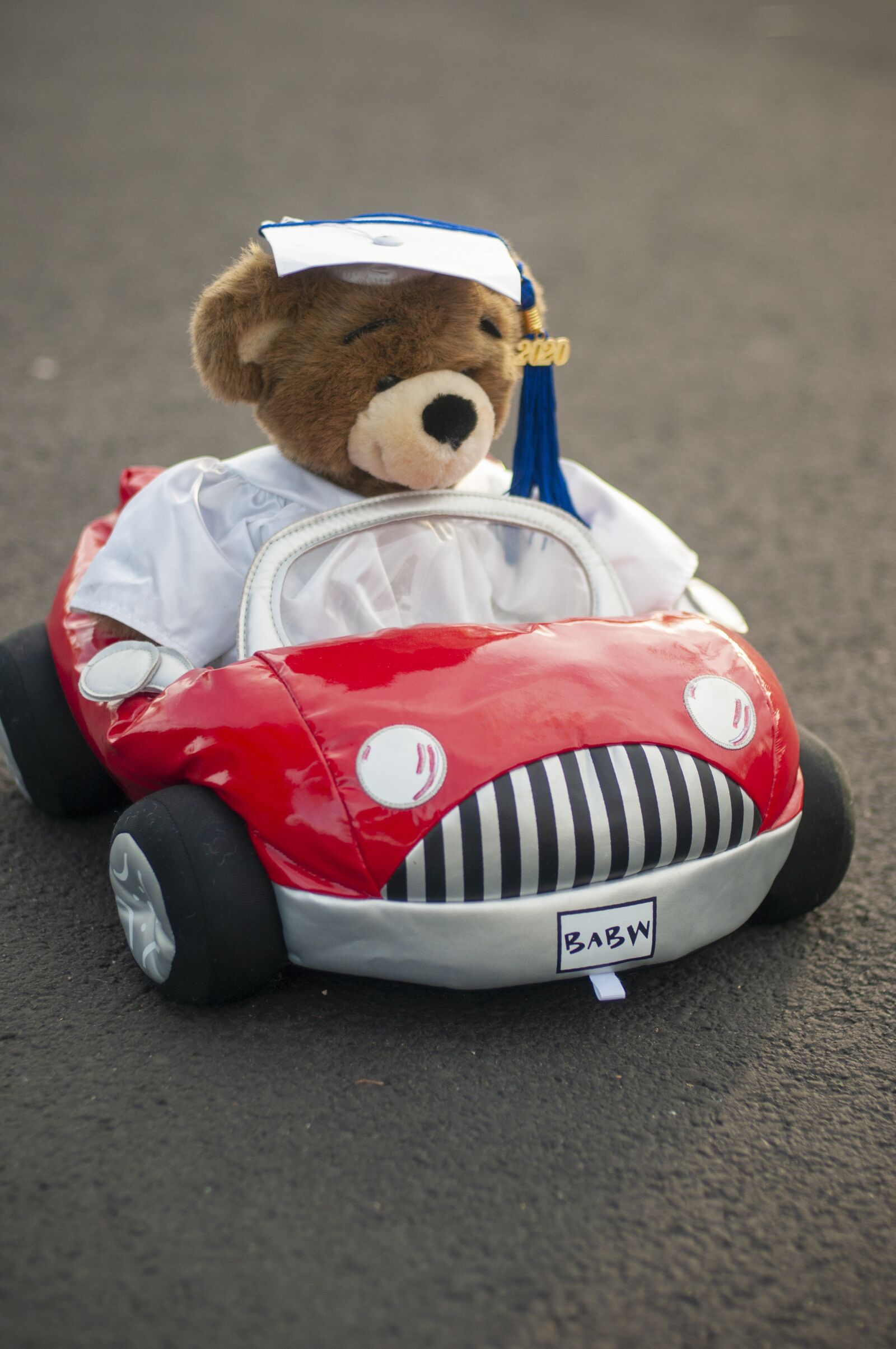 Nikon D300S sample photo. Teddy bear, graduate, cap photography