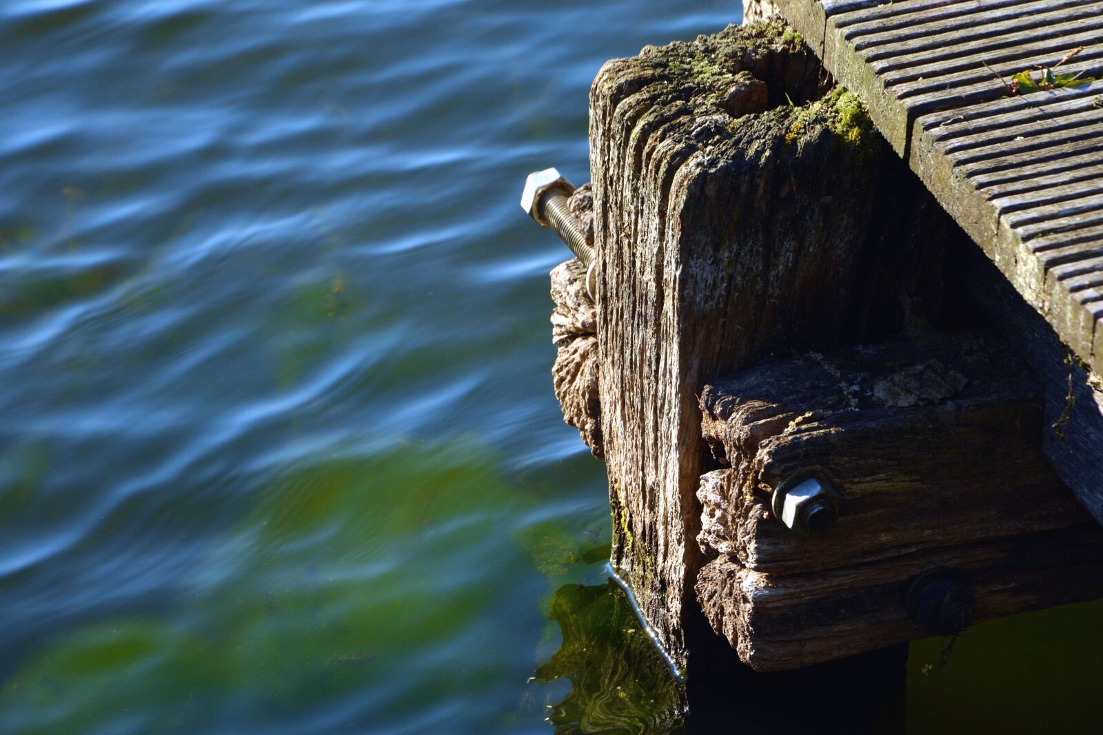Nikon D5200 sample photo. Dock, screw, wood, water photography