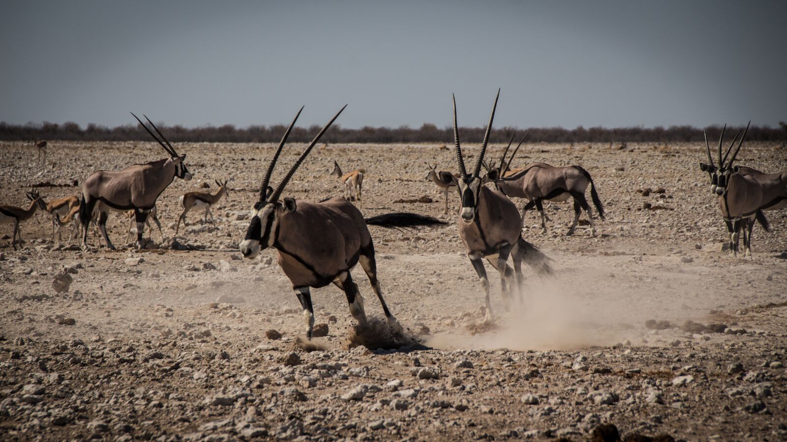 Canon EOS 650D (EOS Rebel T4i / EOS Kiss X6i) sample photo. Namibia, namib, outdoors photography
