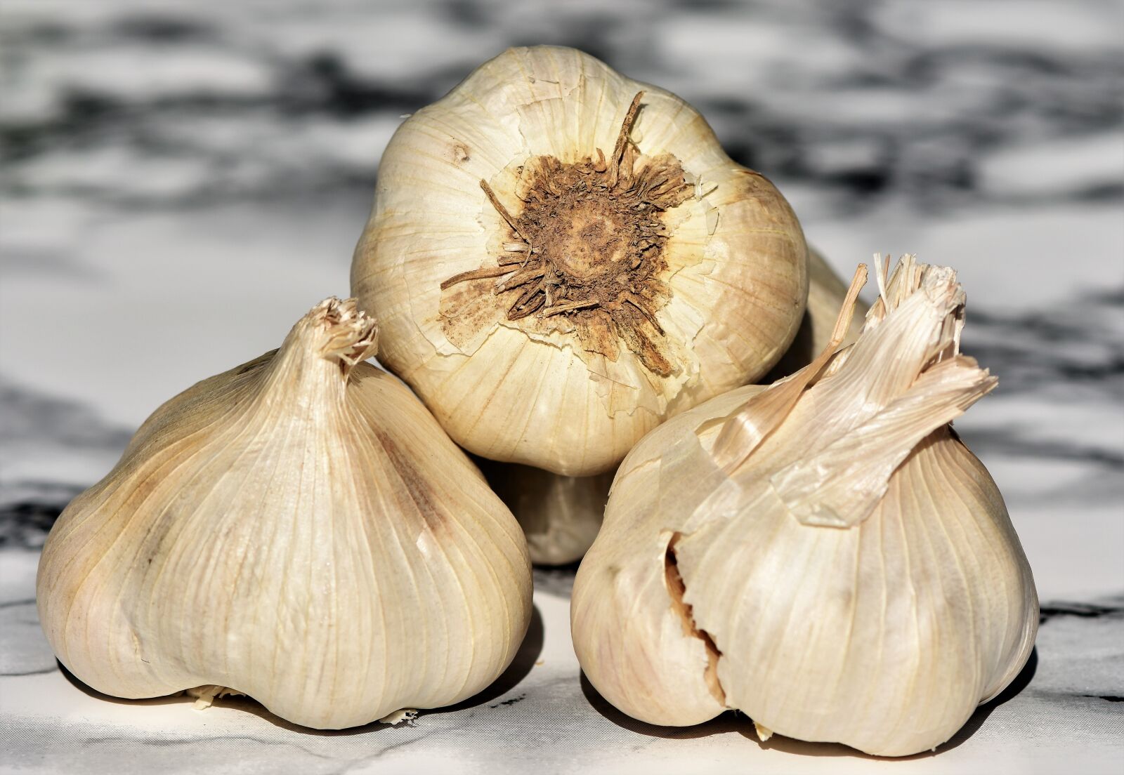 Nikon D7200 sample photo. Garlic, clove of garlic photography
