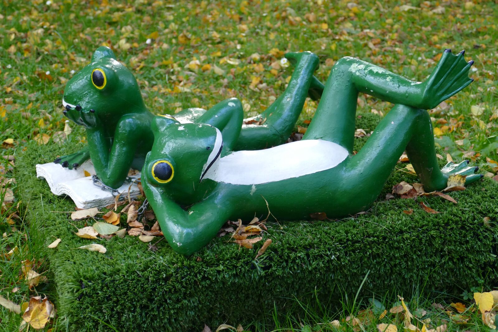 Panasonic Lumix DMC-FZ1000 sample photo. Frog, frogs, pair photography