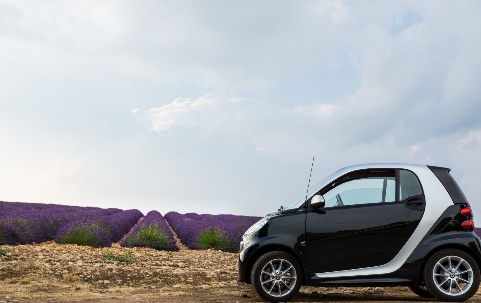 Sony SLT-A77 + Sony DT 16-50mm F2.8 SSM sample photo. Lavender, lavender field, car photography