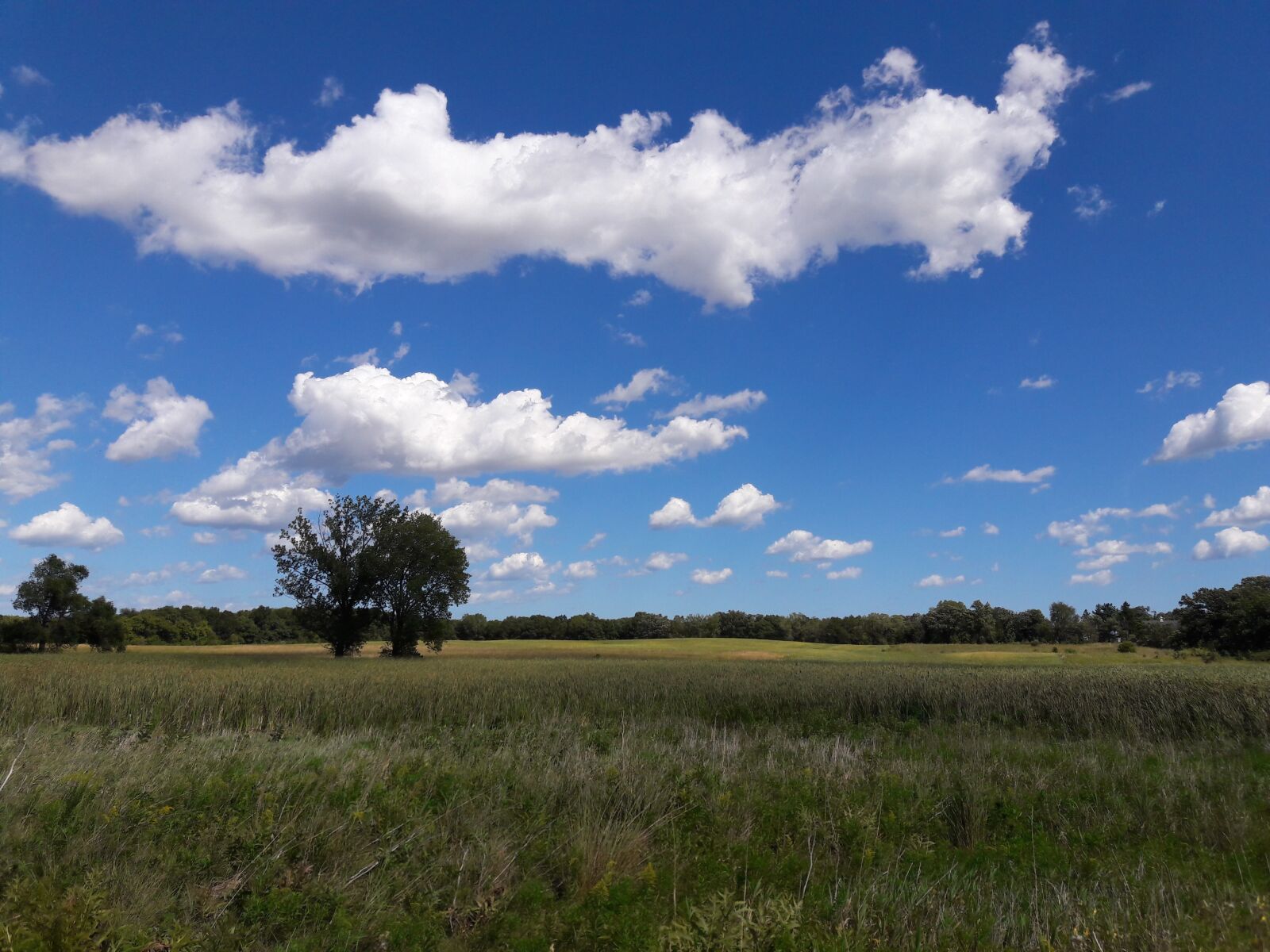 Samsung Galaxy J8 sample photo. Prairie, grass, nature photography