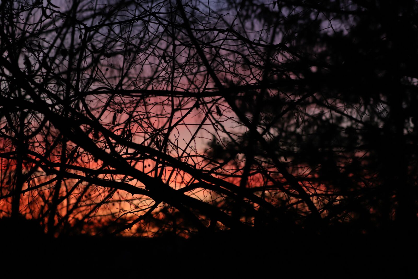 Canon EOS 77D (EOS 9000D / EOS 770D) + Canon EF 70-300 F4-5.6 IS II USM sample photo. Evening, sunset, sky photography