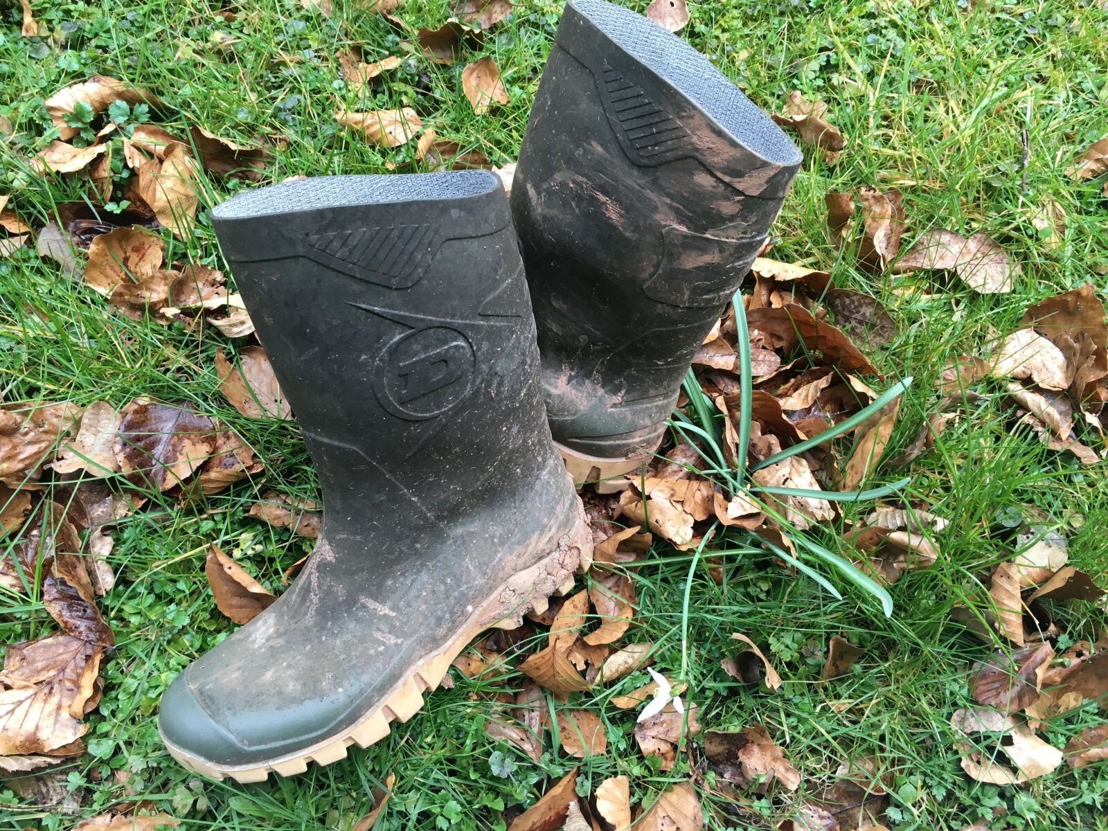 Apple iPhone 6s sample photo. Rubber boots, garden, gardening photography