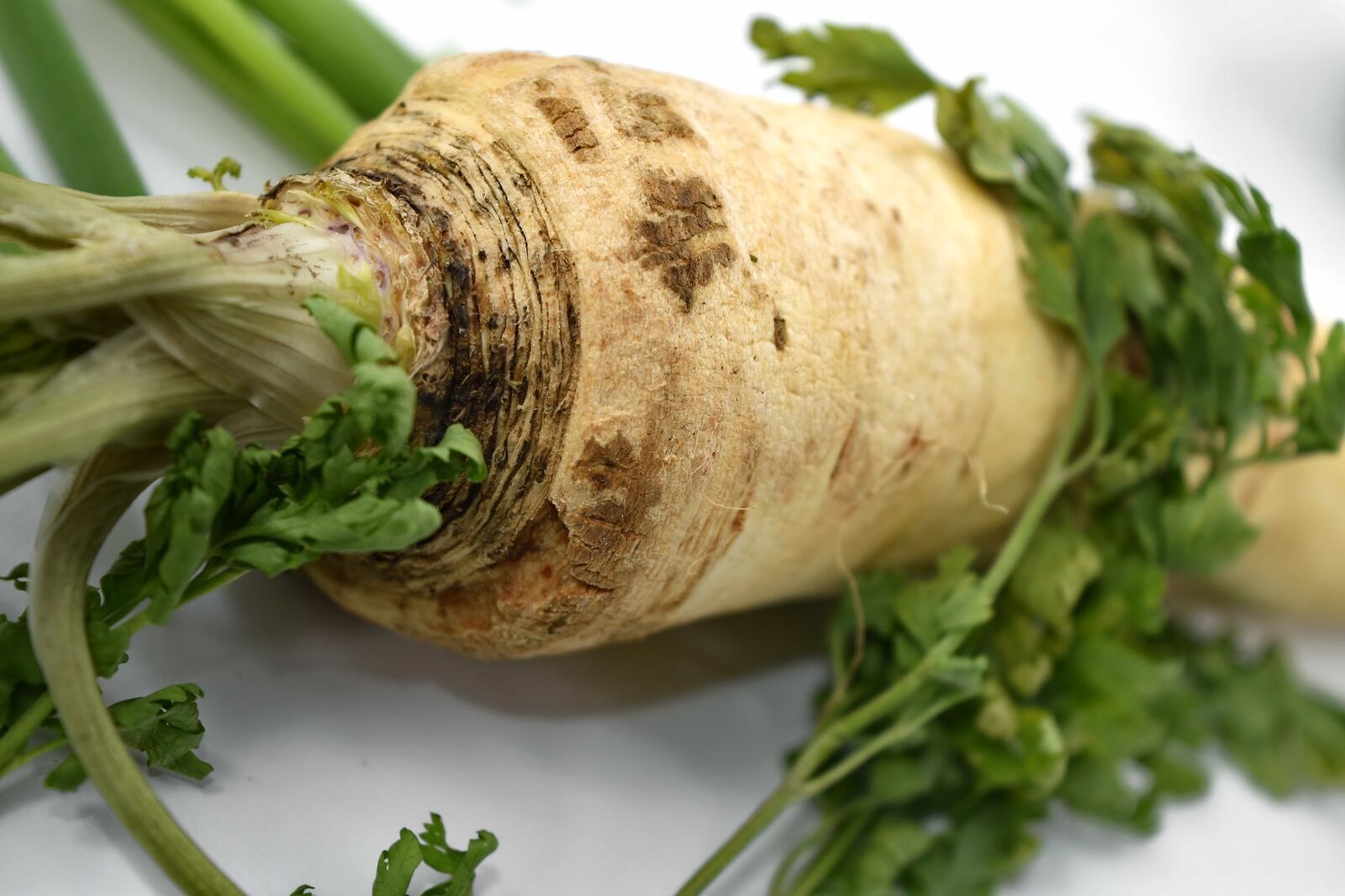 Nikon D5500 sample photo. Celery, green leaves, vegan photography
