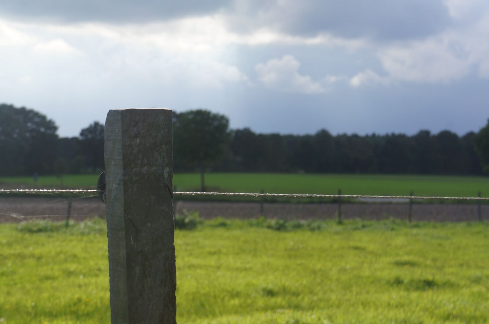 Sony Alpha NEX-5N sample photo. Fence post, land, focus photography