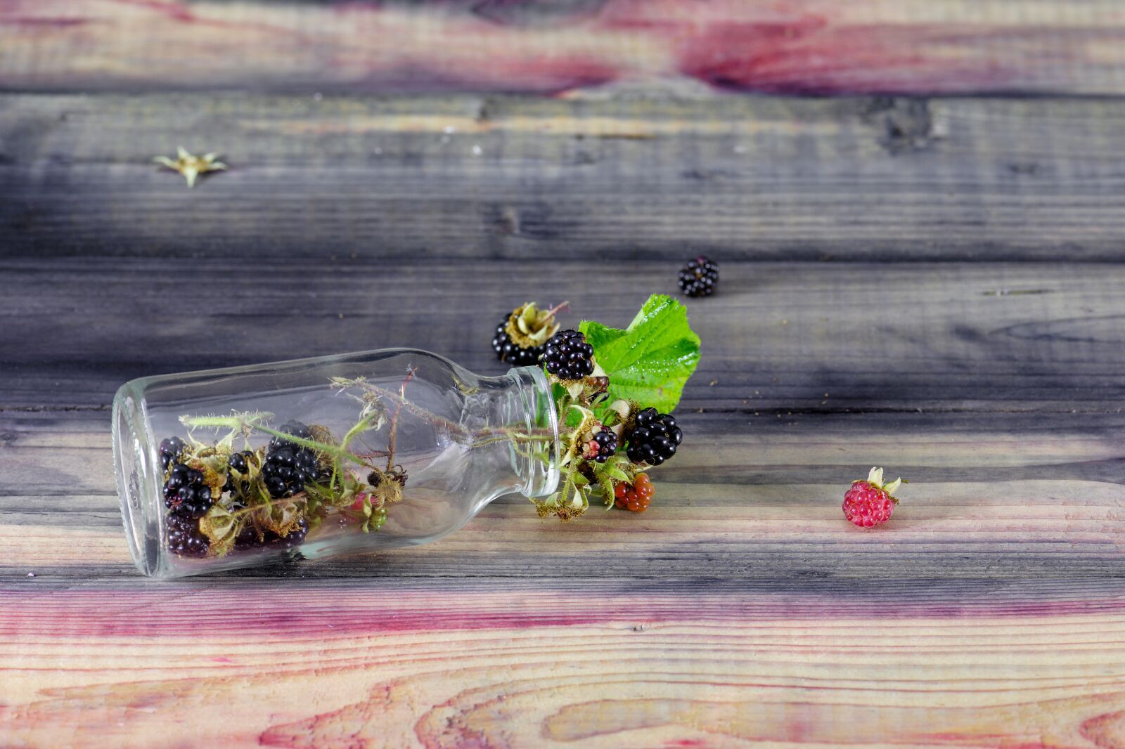 Nikon D7200 sample photo. Blackberry, raspberry, vitamins photography