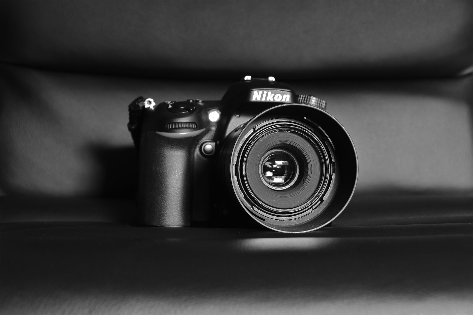 Nikon D5600 sample photo. Camera, nikon, photography photography