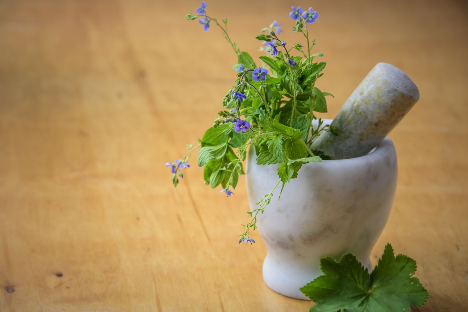 Nikon D750 sample photo. Natural medicine, herbs from photography