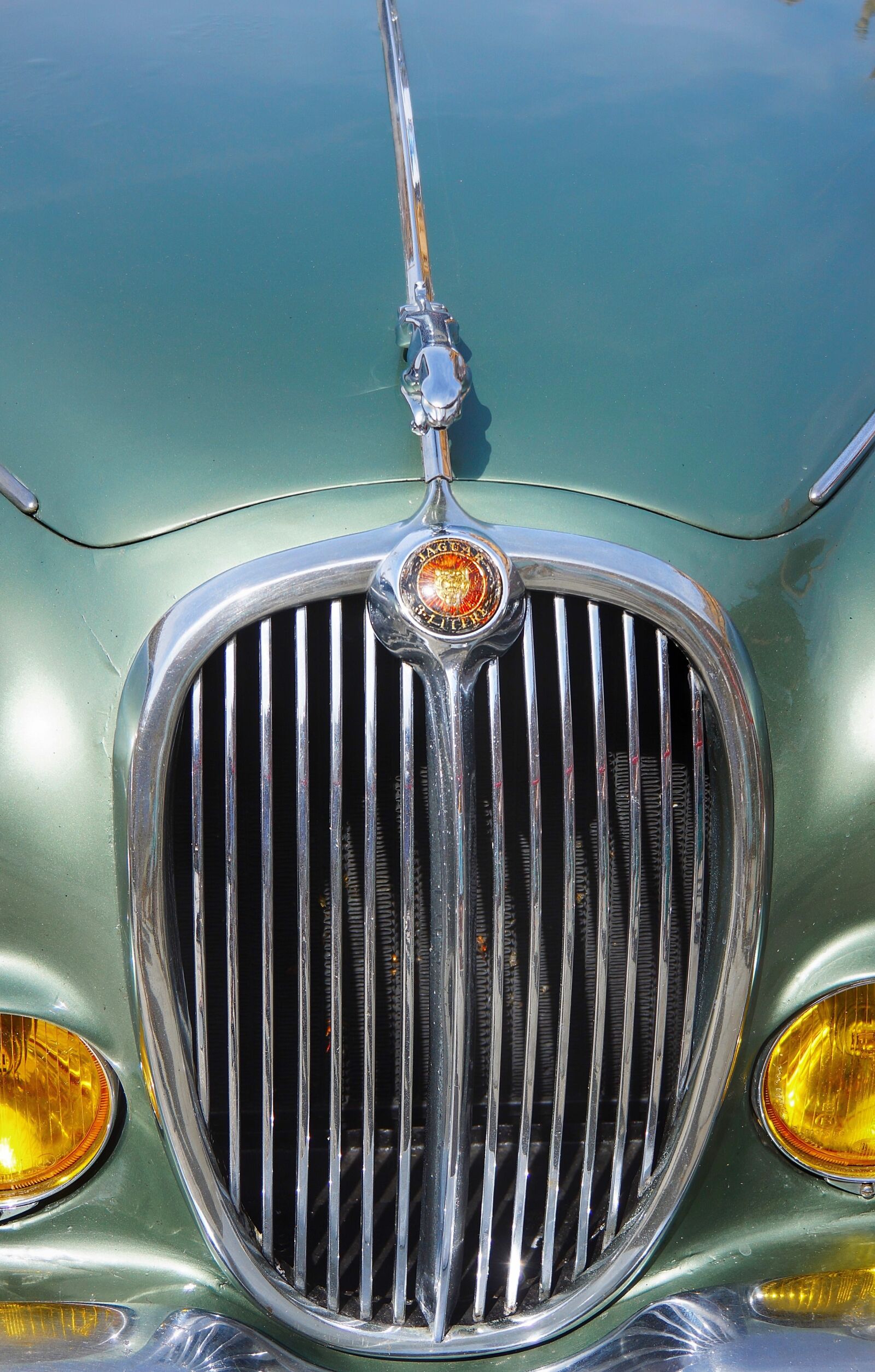 Sony Alpha NEX-7 sample photo. Vintage, jaguar, front photography