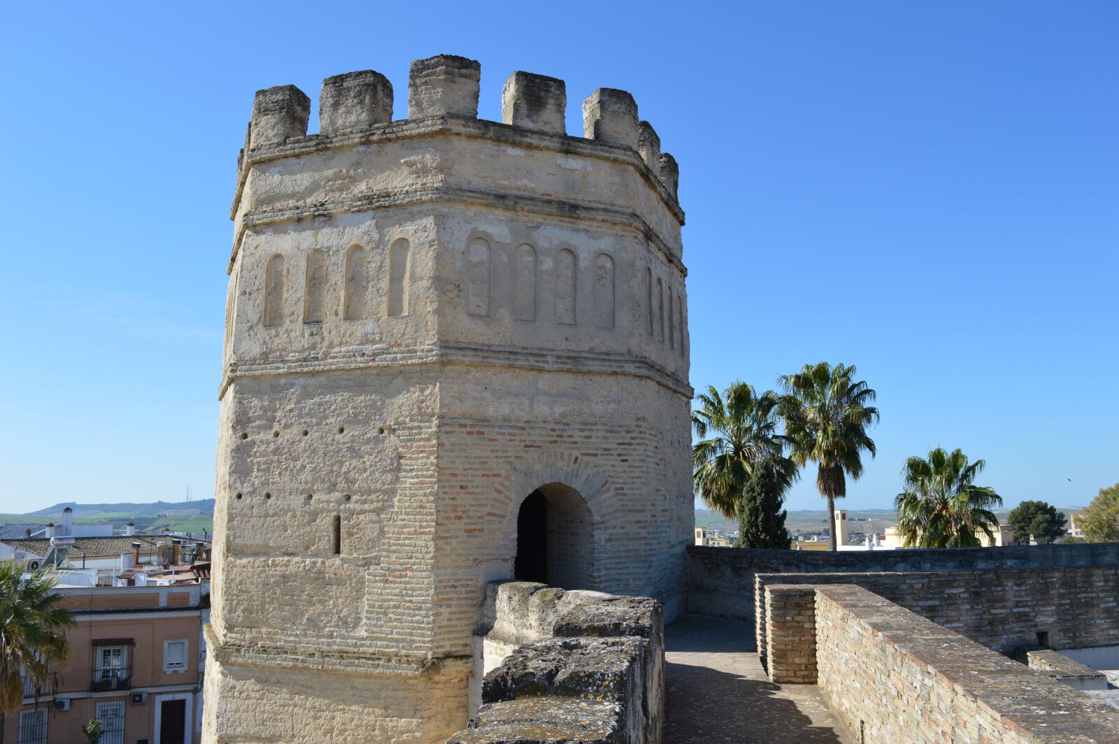 Nikon D3200 sample photo. Jerez de la frontera photography