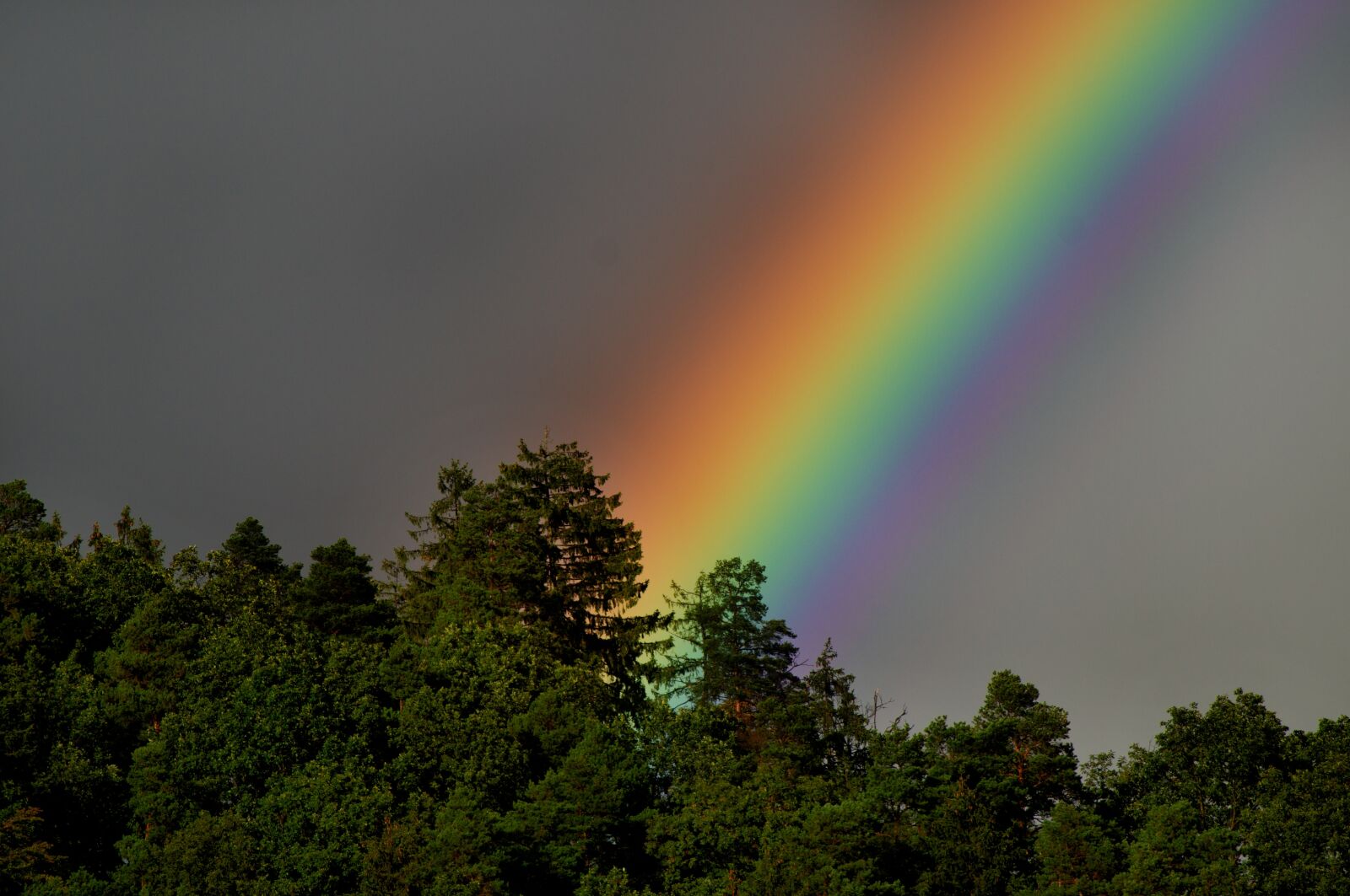 Sony SLT-A57 sample photo. Rainbow, sky, rain photography