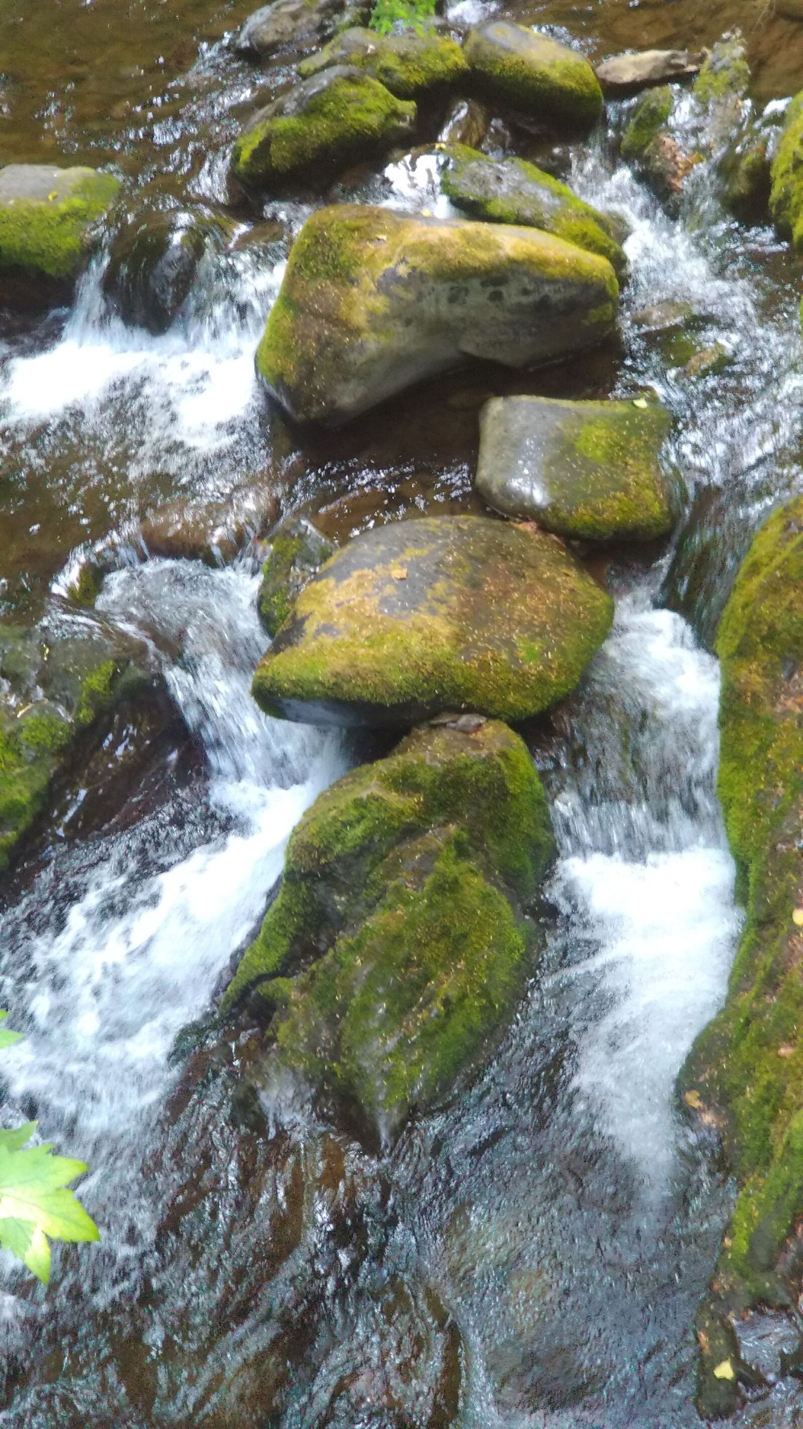 ASUS ZenFone 3 Zoom (ZE553KL) sample photo. Creek, mossy, rocks, river photography
