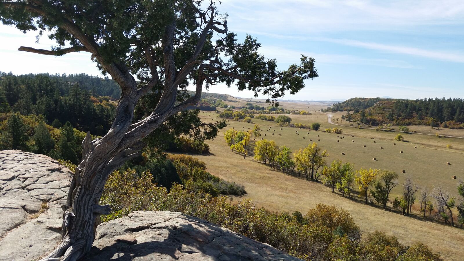Samsung Galaxy S5 sample photo. Park, tree, field photography