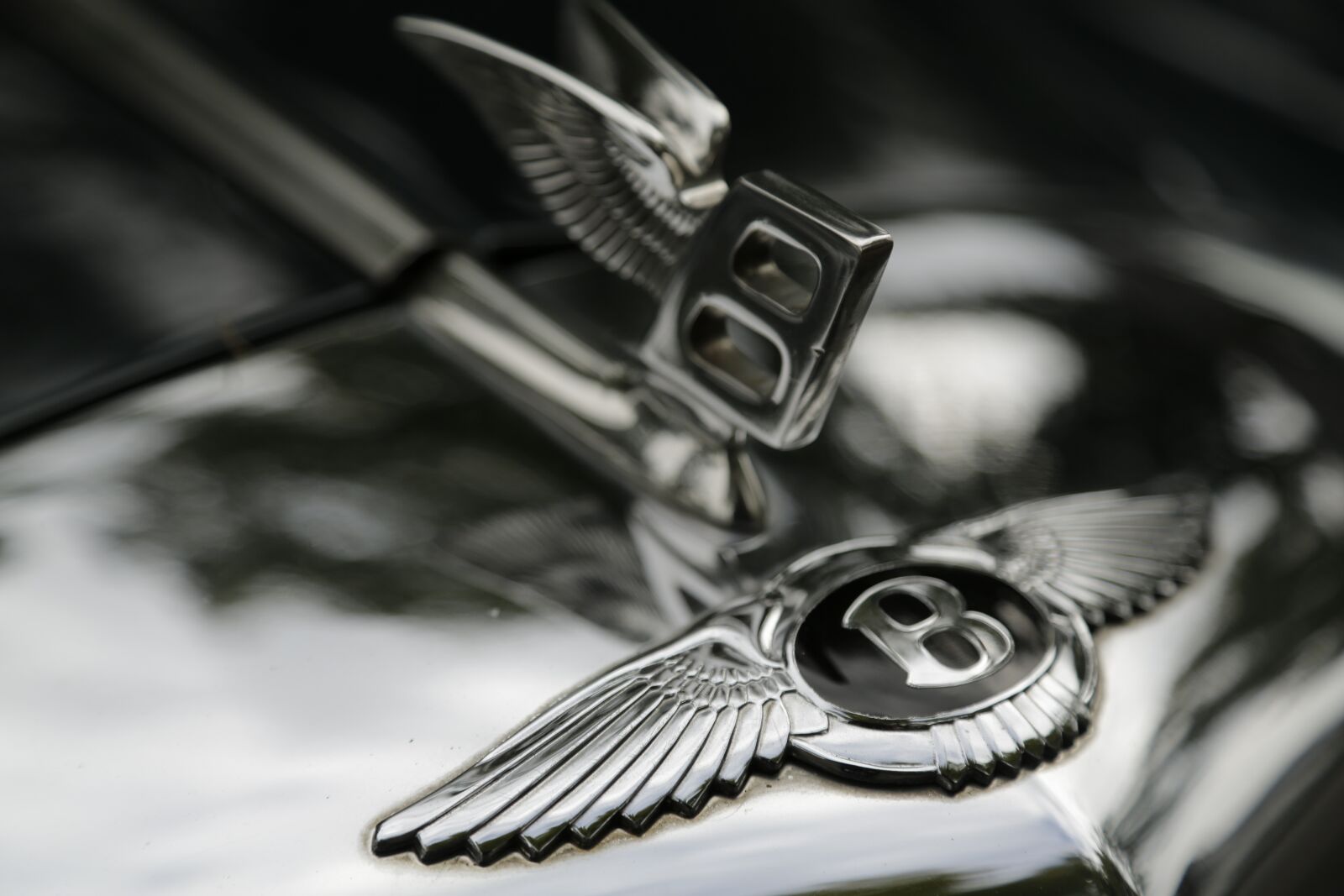 Canon EF 24-105mm F4L IS USM sample photo. Close up, bentley, wings photography