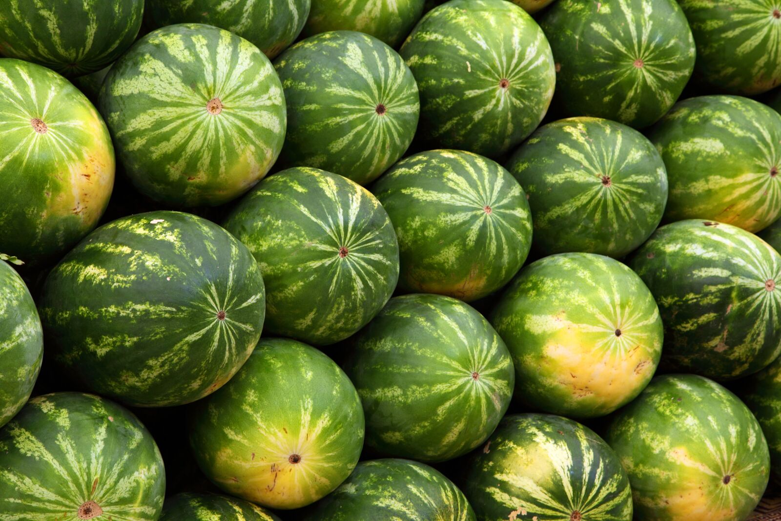 Canon EOS 5D Mark II sample photo. Food, summer, pattern, green photography
