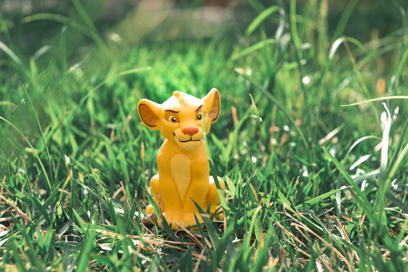 Canon EOS 200D (EOS Rebel SL2 / EOS Kiss X9) sample photo. Green, simba, nature photography