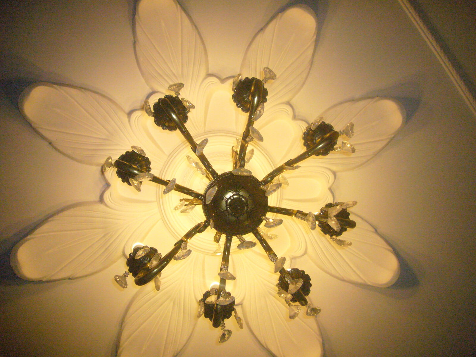 Panasonic DMC-FX01 sample photo. Candlestick photography