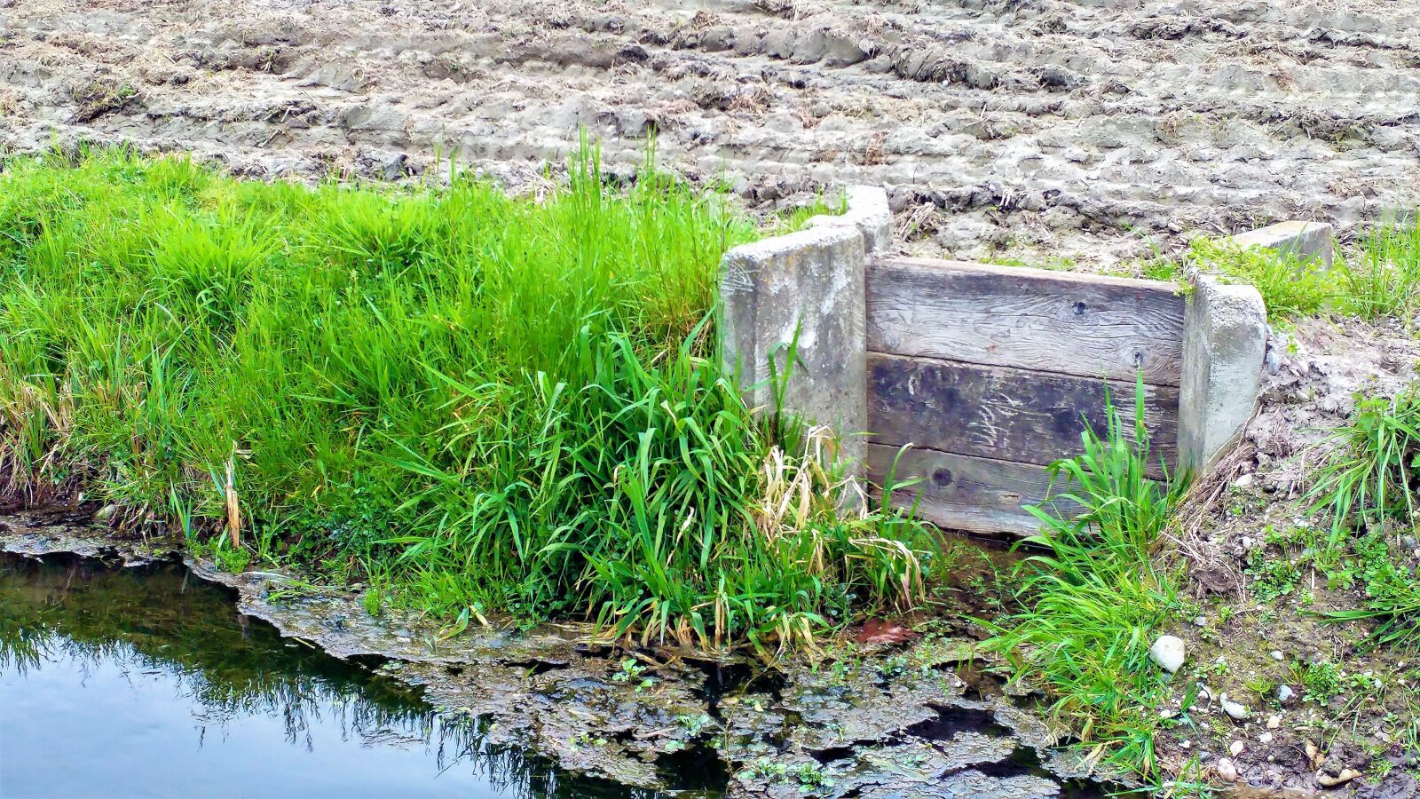 LG G5 sample photo. Nature, waters, summer photography