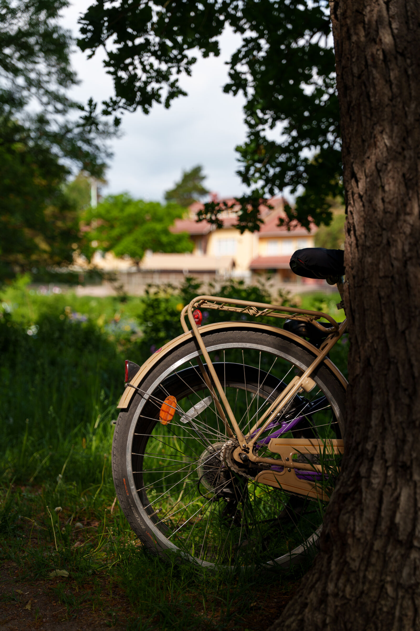 Sony a7R V sample photo. Bicycle behind the tree photography