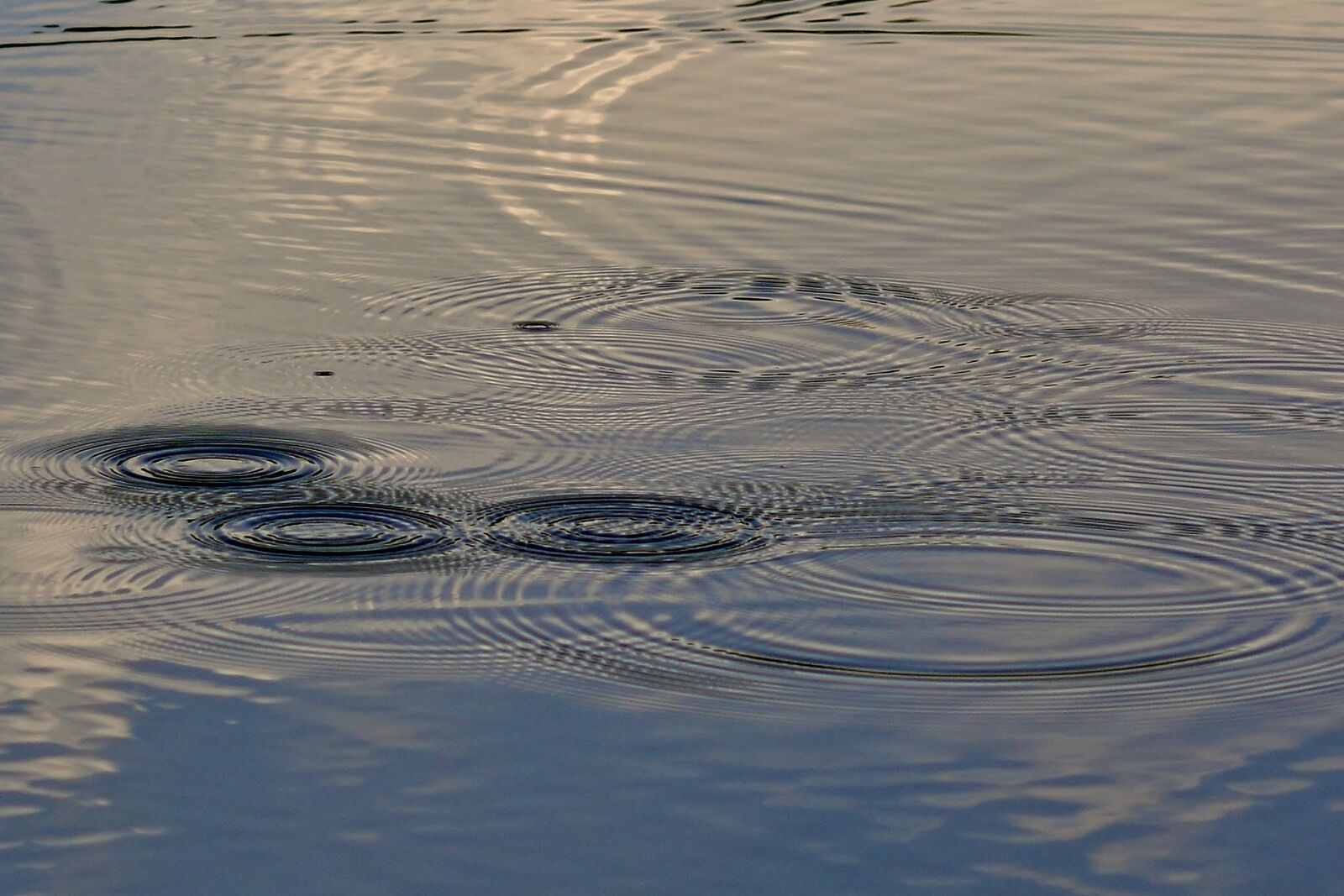Nikon D5200 sample photo. Water, lake, raindrop photography