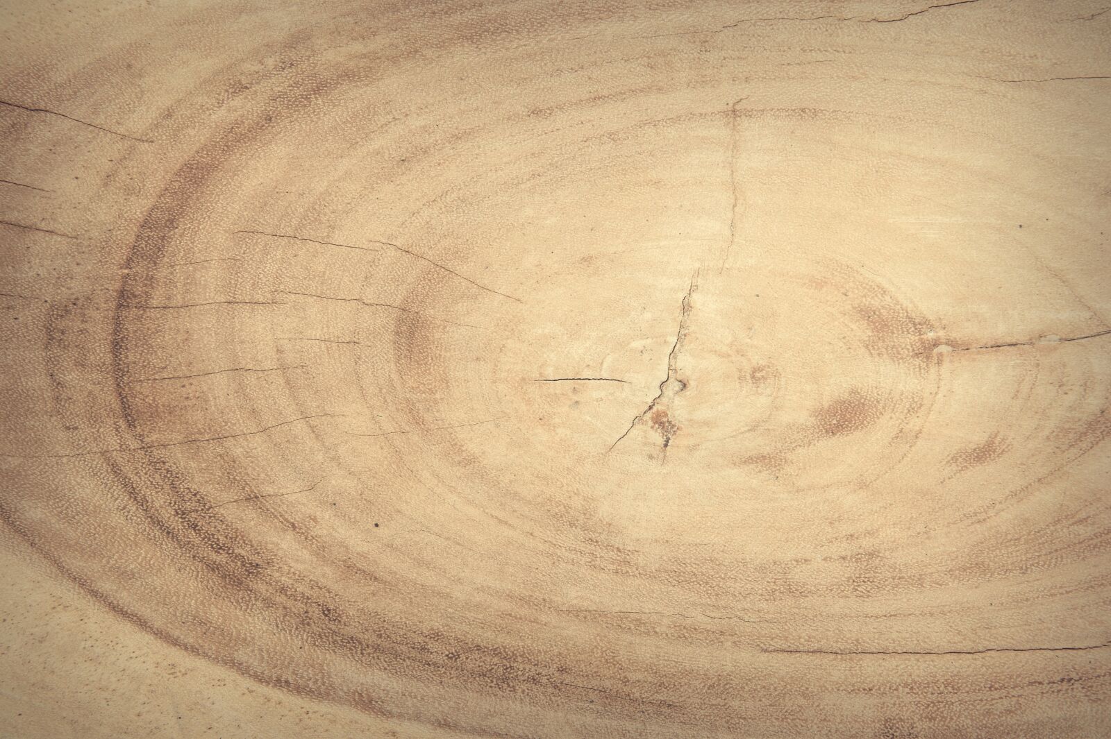 Nikon D700 sample photo. Abstract, antique, backdrop photography