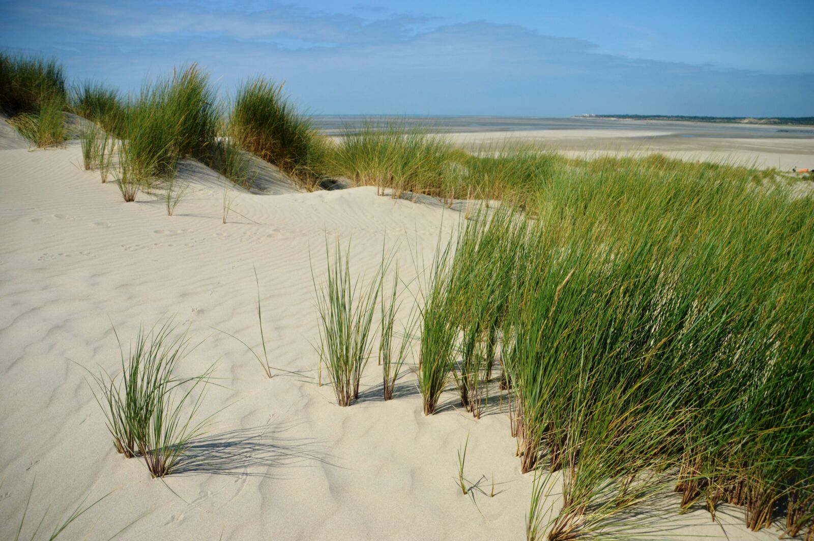 Nikon D3200 sample photo. Sea, beach, hauts de photography