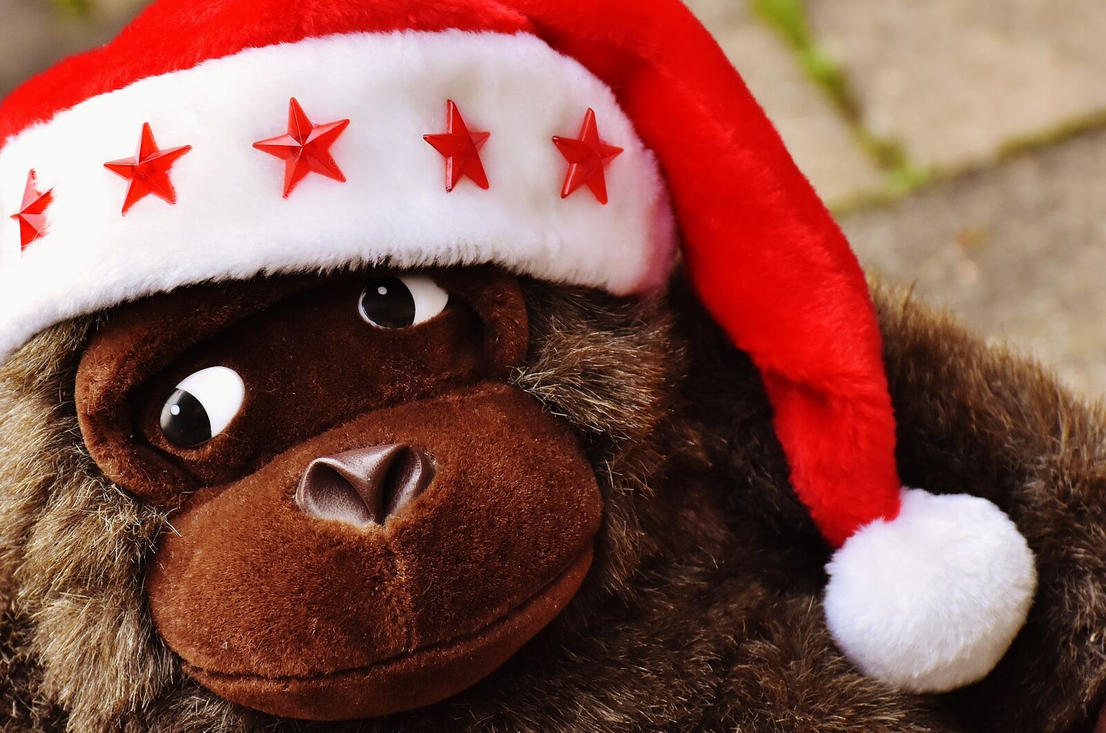 Nikon D7200 sample photo. Christmas, santa hat, stuffed photography